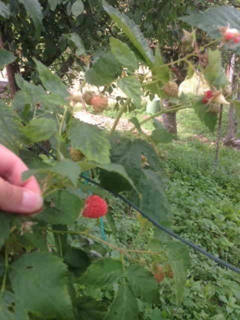 Agriturismo I Due Regni Petrella Salto Eksteriør billede