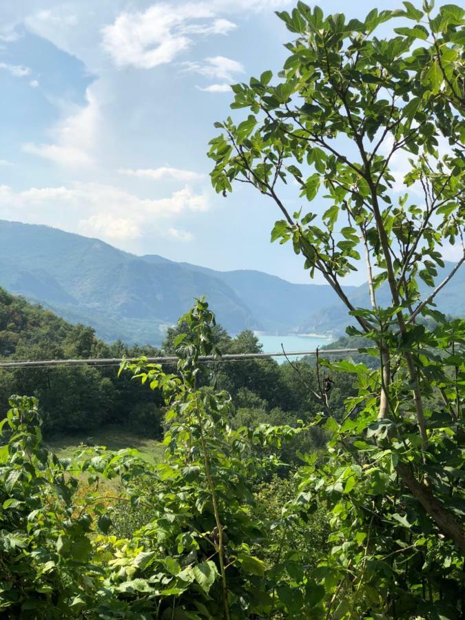 Agriturismo I Due Regni Petrella Salto Eksteriør billede